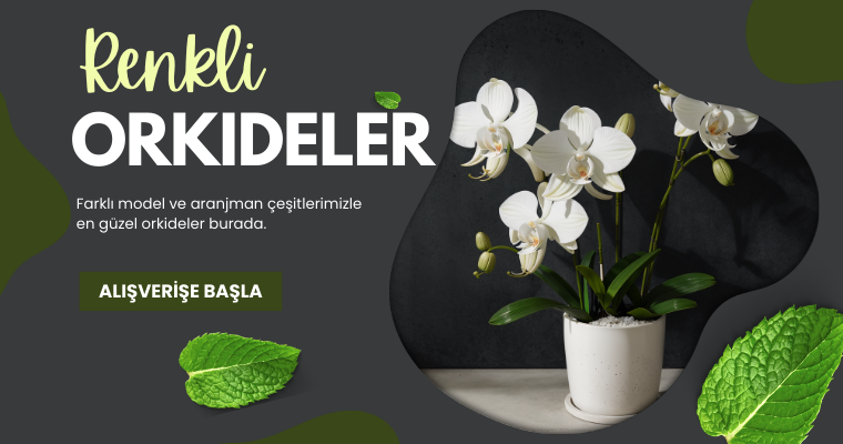 Özel Tasarımlarız